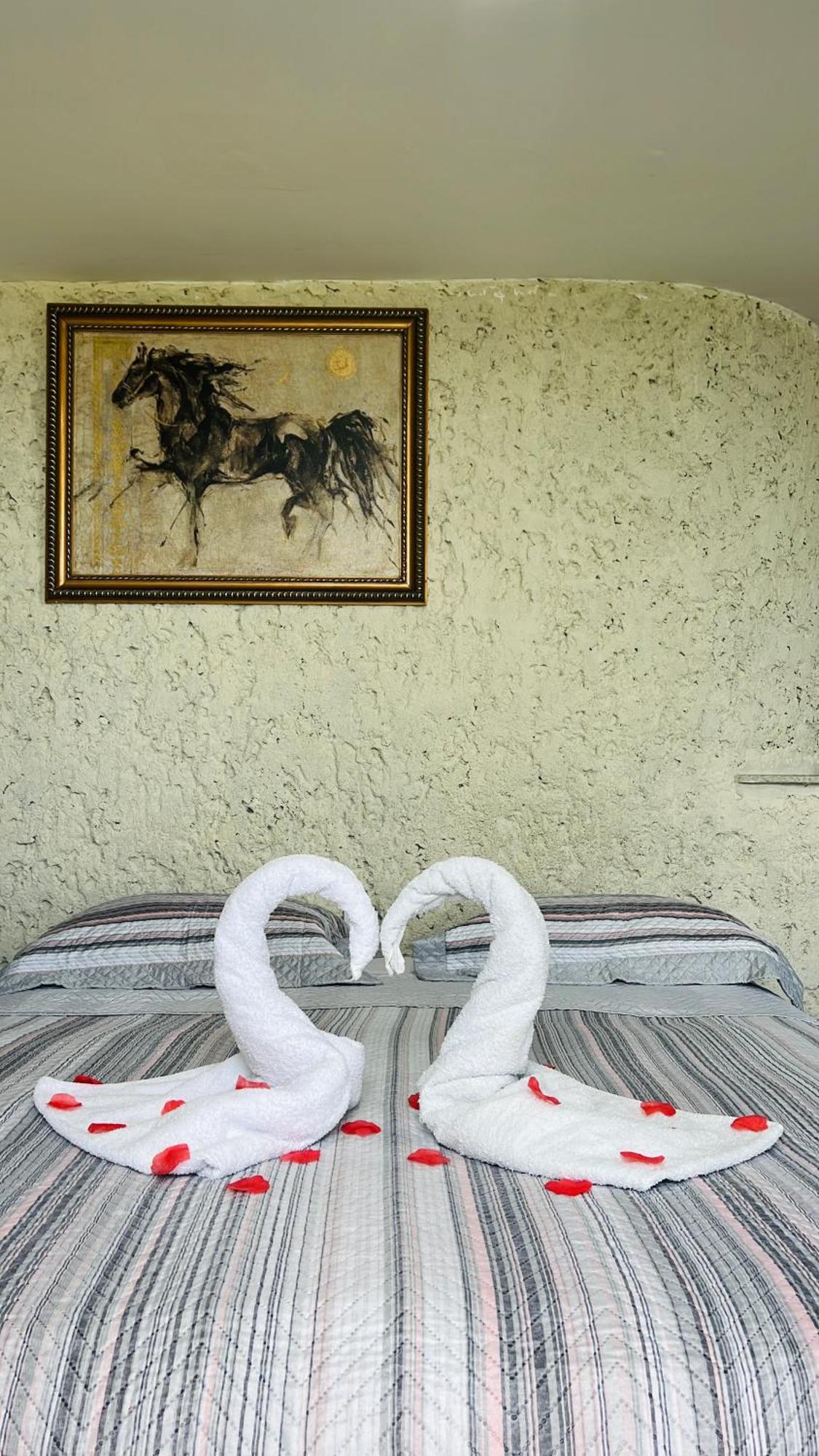 Rota Do Mar Guest house *